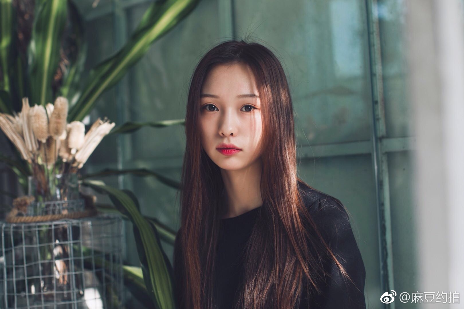 搜麻豆网站搜麻豆，一种独特的文化现象