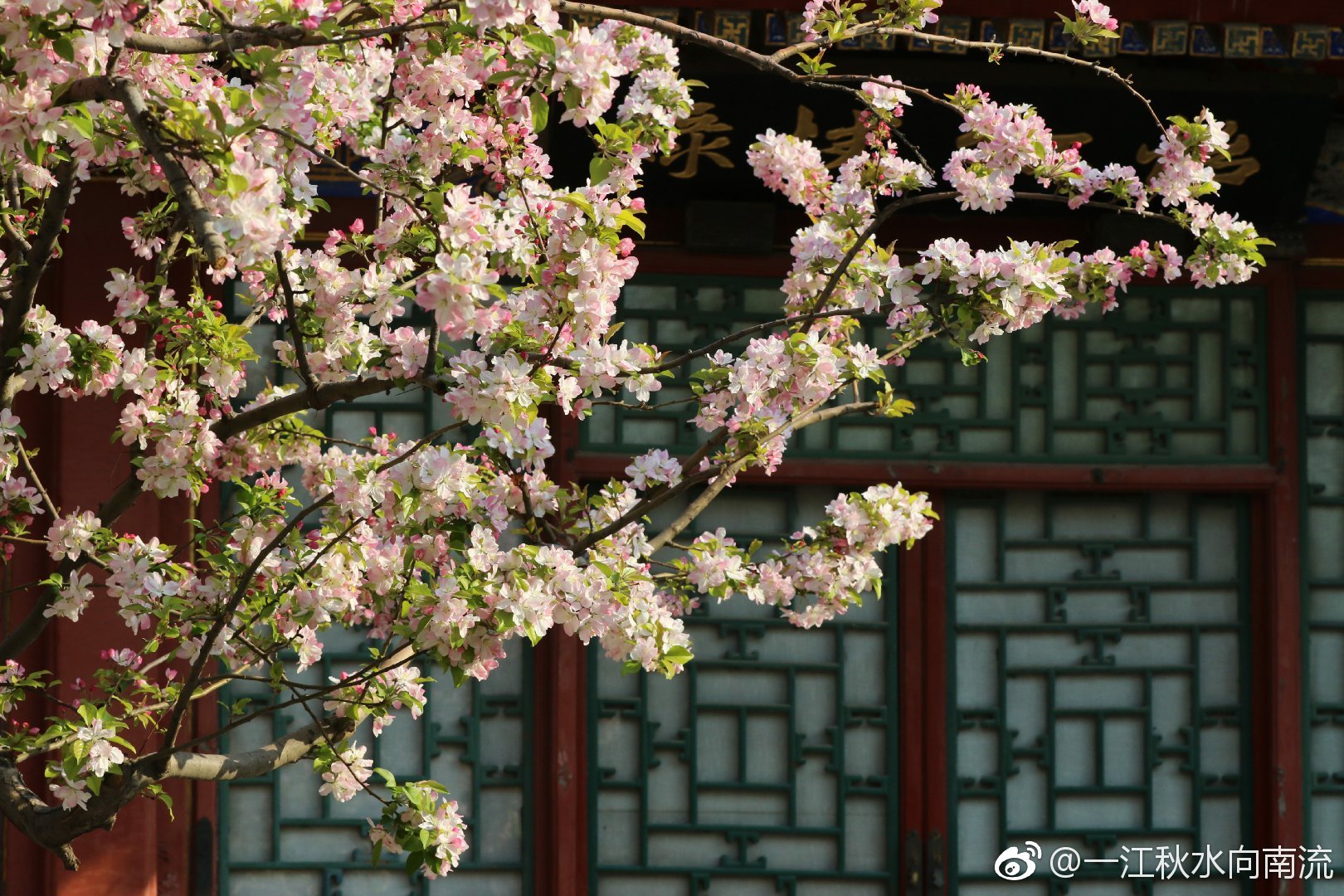 美国十次啦怡红院美国文化中的特殊场所——十次啦怡红院-第3张图片