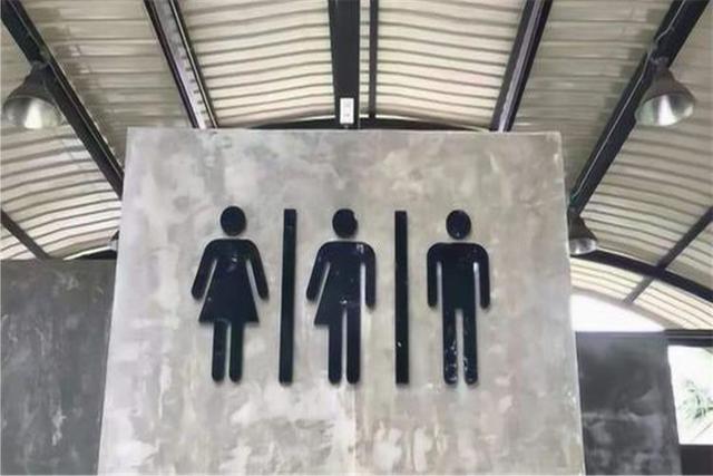 欧美人妖，文化、社会与误解的探讨-第2张图片