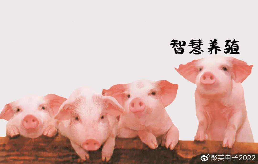 奶牛APP——福引导你的智慧养殖之旅