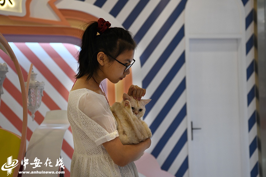 撸片网，影视爱好者的新选择