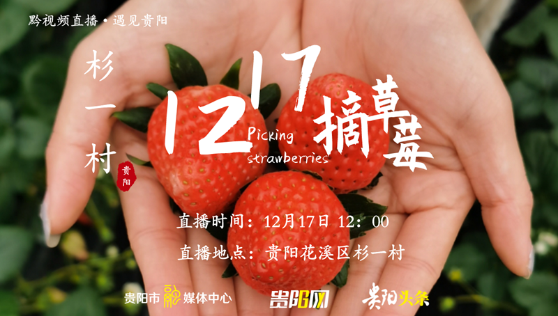 草莓直播，高清在线免费观看的全新体验-第3张图片