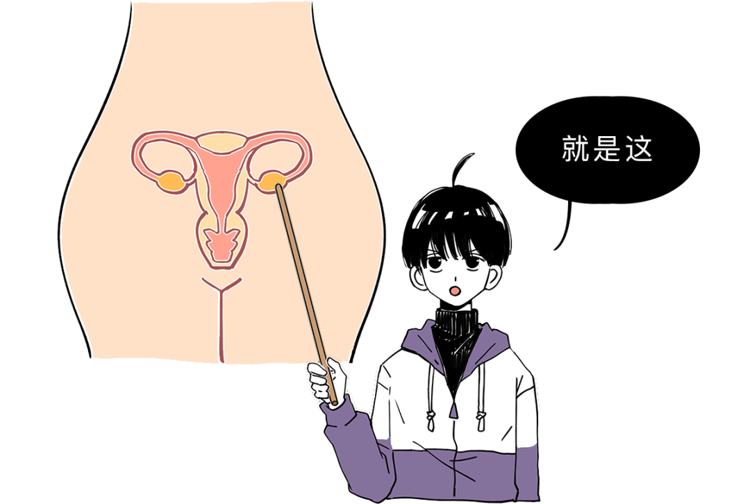 女同桌把我的精子弄出来了怎么办面对女同桌意外弄出精子，如何妥善处理？-第1张图片