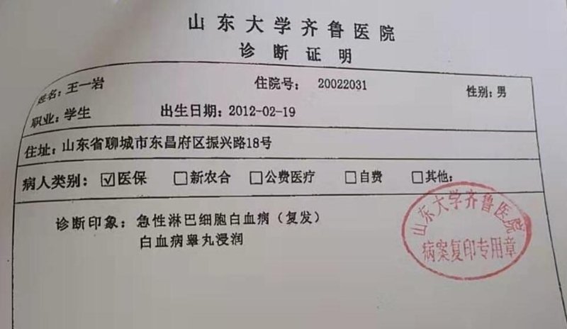 女人被公牛进入会得白血病吗女人遭遇意外，公牛闯入后的惊险经历-第2张图片