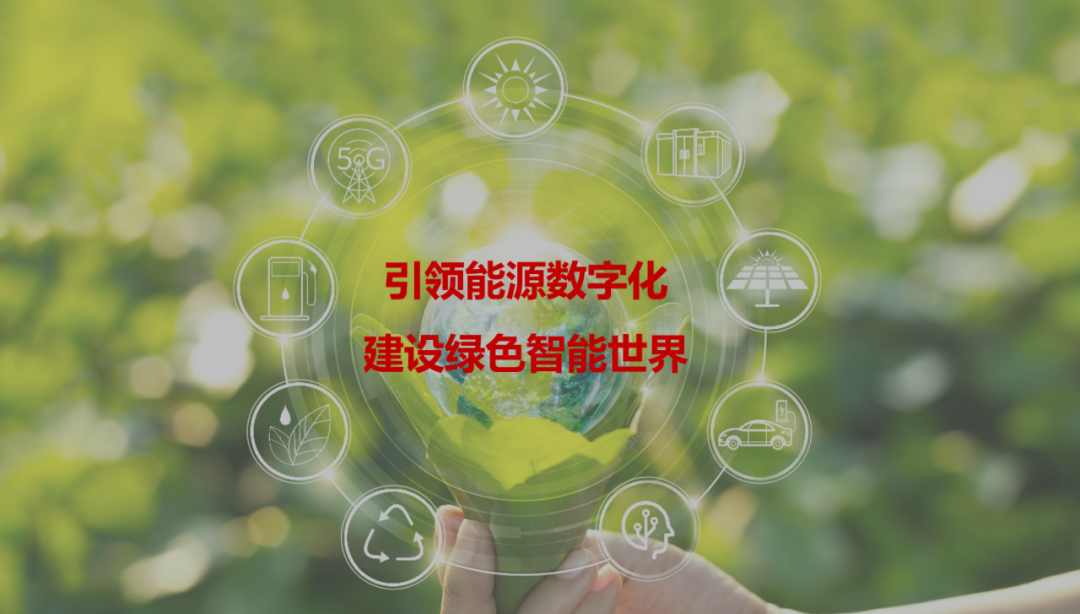 木桶网木桶网，引领数字化时代的创新之路