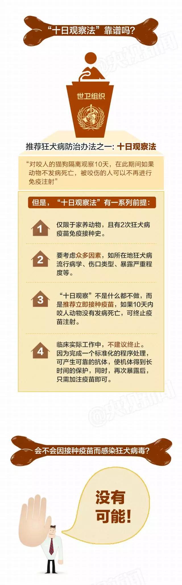 日本成人黄色网址的误解与真相-第2张图片