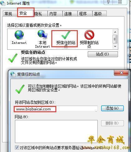 皇网站浏览器黄王，一位引领时代的杰出人物-第1张图片