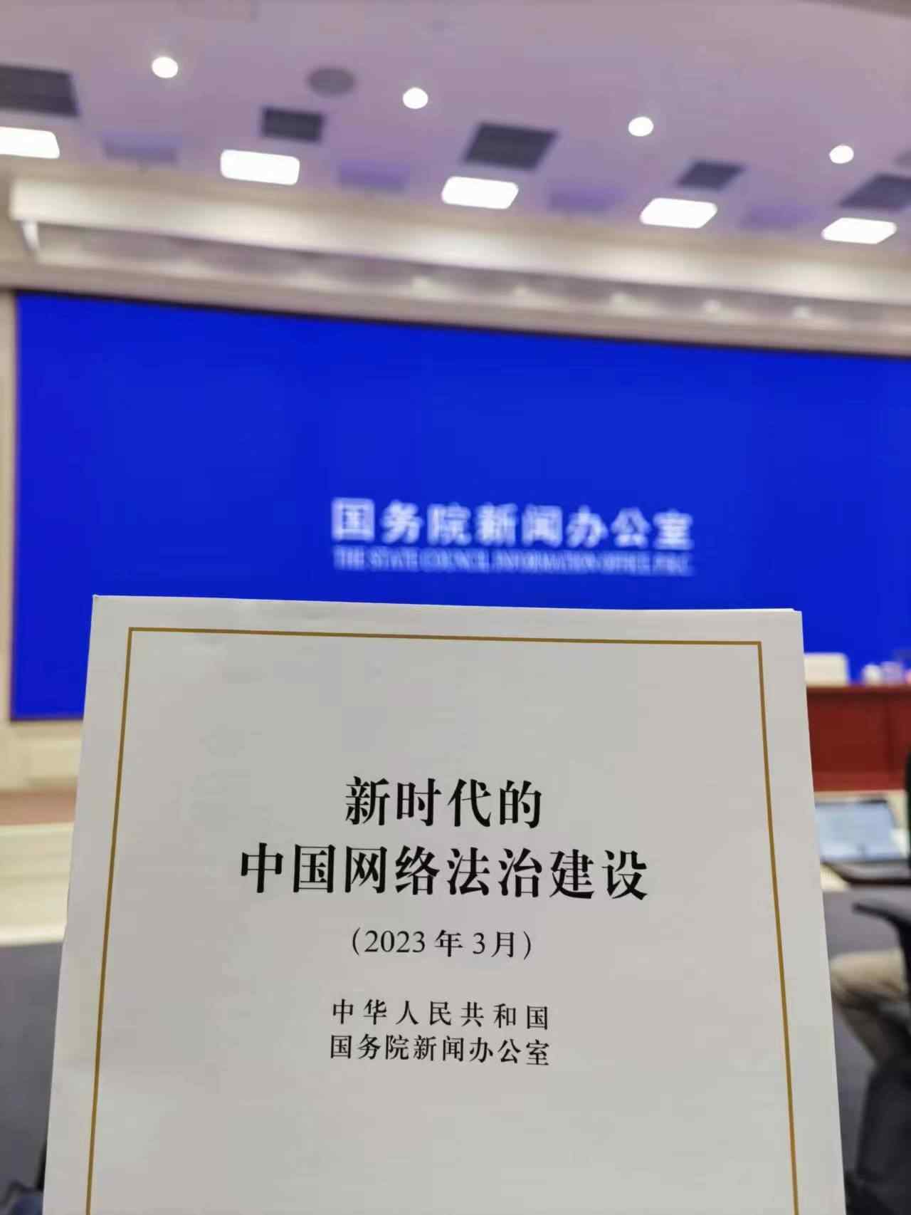 撸撸撸网，网络时代的全新体验-第1张图片