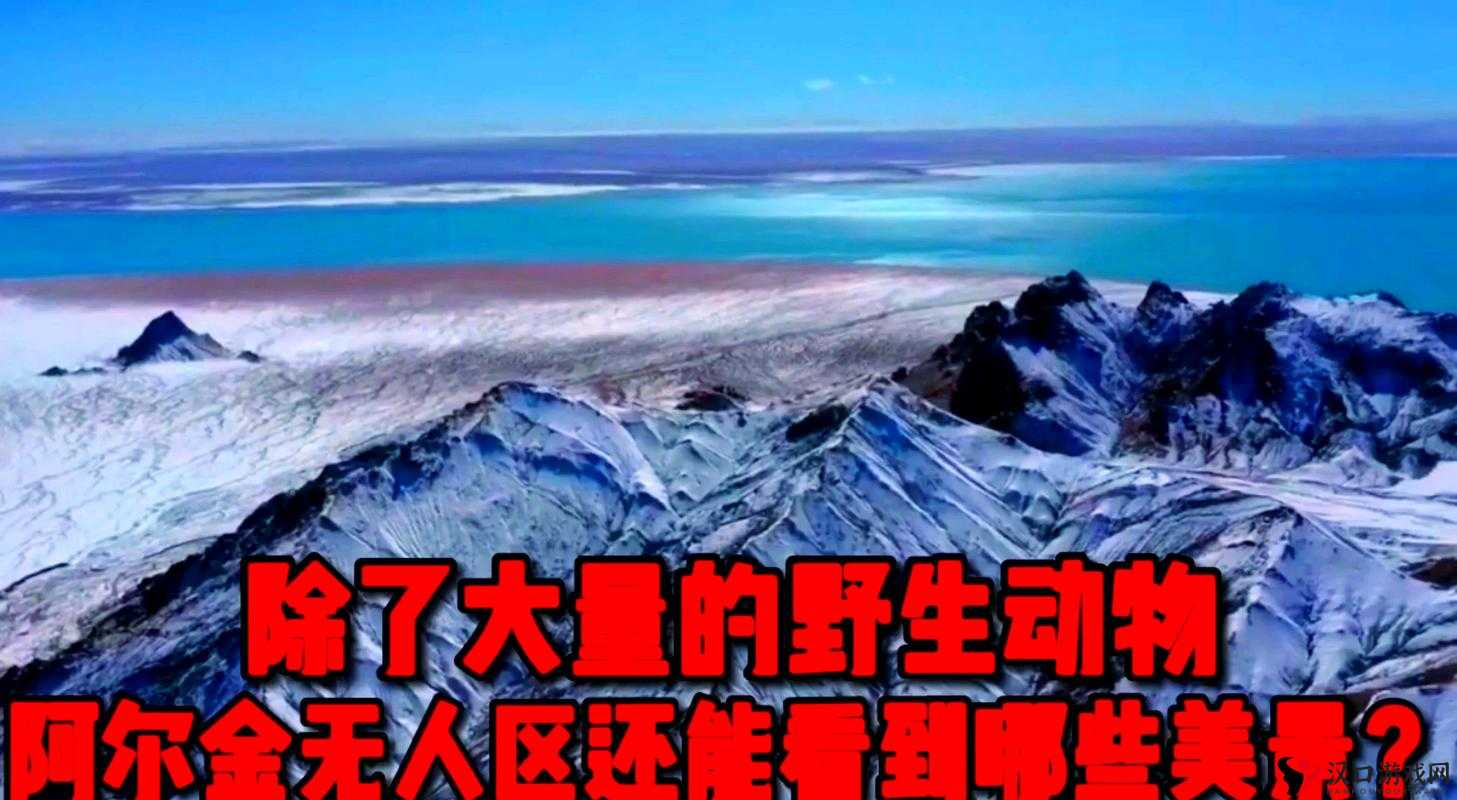 亚洲无人区码一码二码三码的区探索亚洲无人区码，一码、二码、三码的区分与意义-第2张图片
