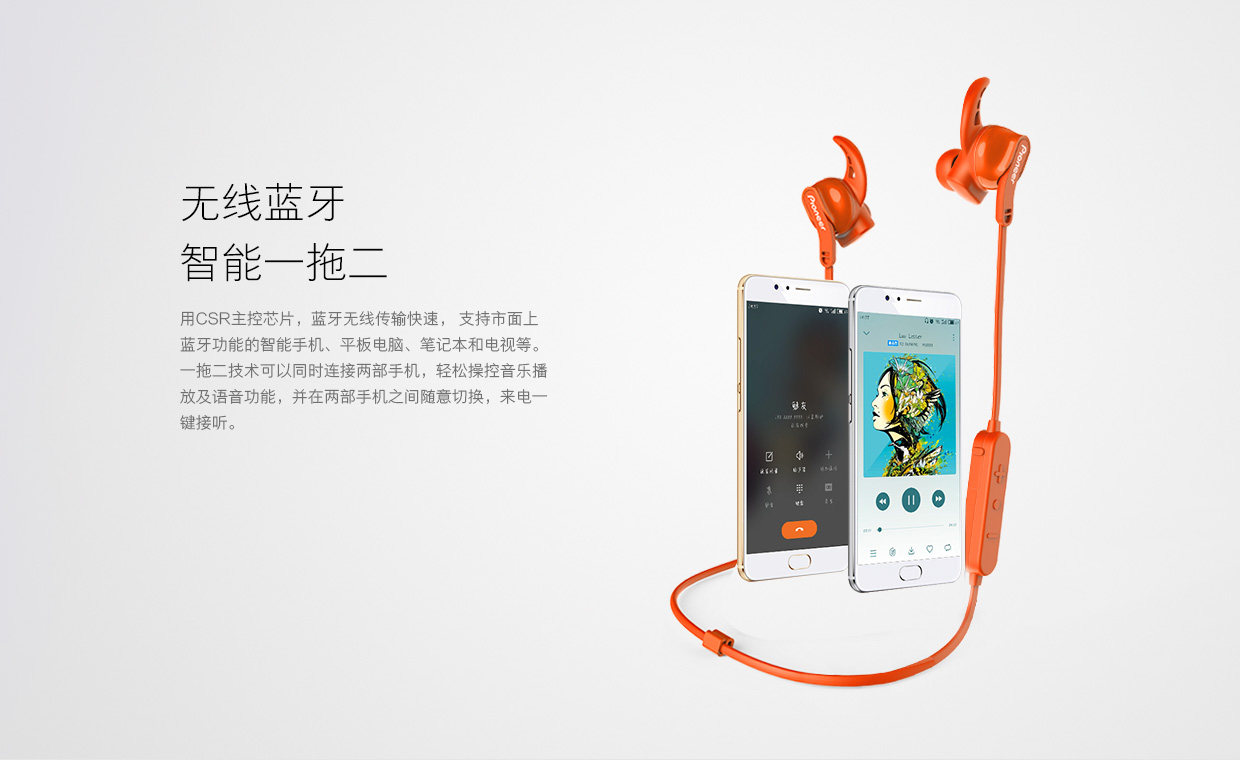 bt天堂 好看的 蚂蚁视频探索BT蚂蚁的天堂