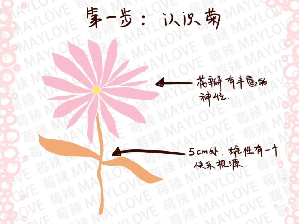 探索身体奥秘，如何实现自己的嘴与小弟的奇妙接触-第3张图片