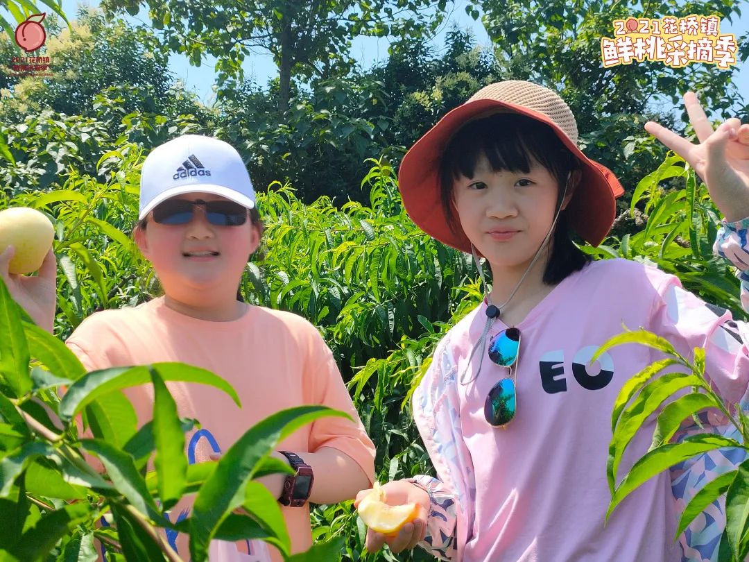 果冻传媒2021精品在线观看果冻传媒2021精品在线观看体验与探索-第2张图片