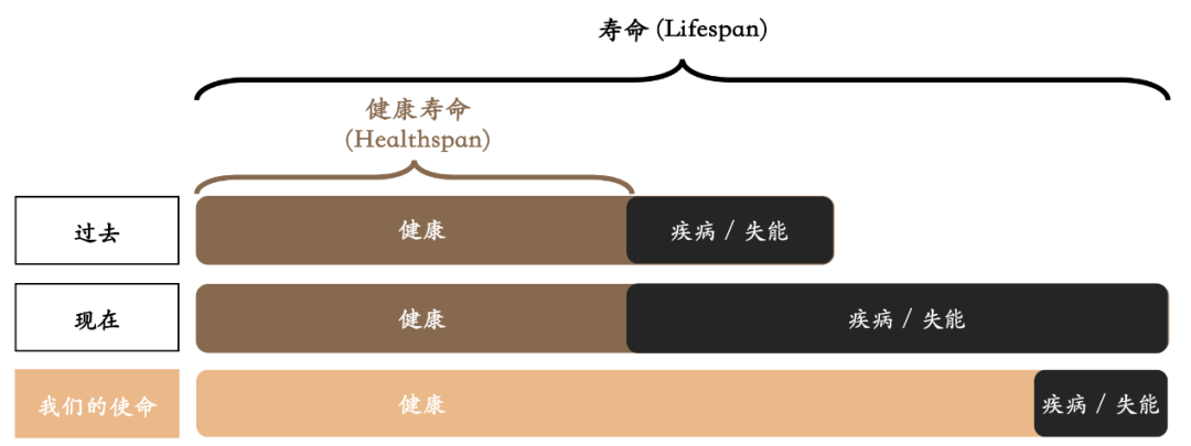 肥胖与VPS WINDOWS，探索健康与技术的双重挑战-第1张图片