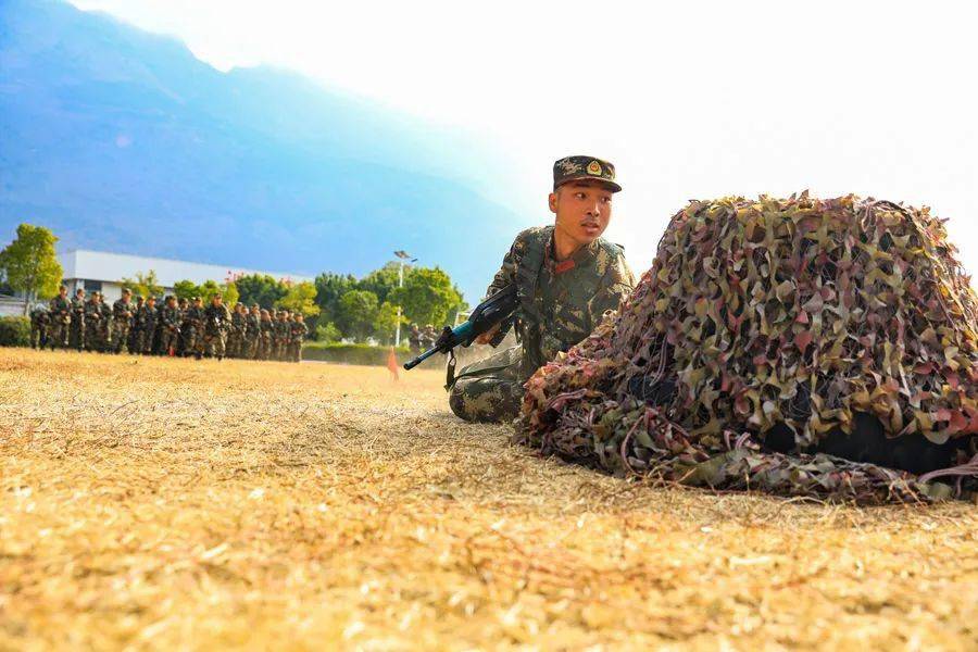 新兵下载，探索数字化时代的军事变革-第1张图片