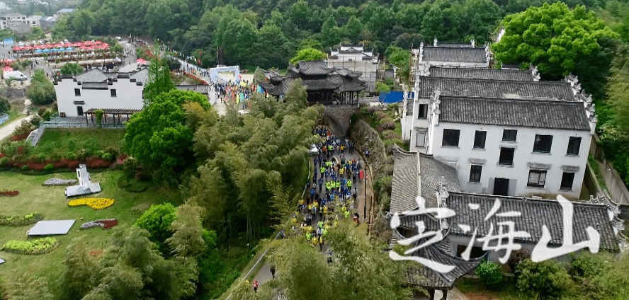 仙踪林免费入口，探索自然与科技的完美结合-第2张图片