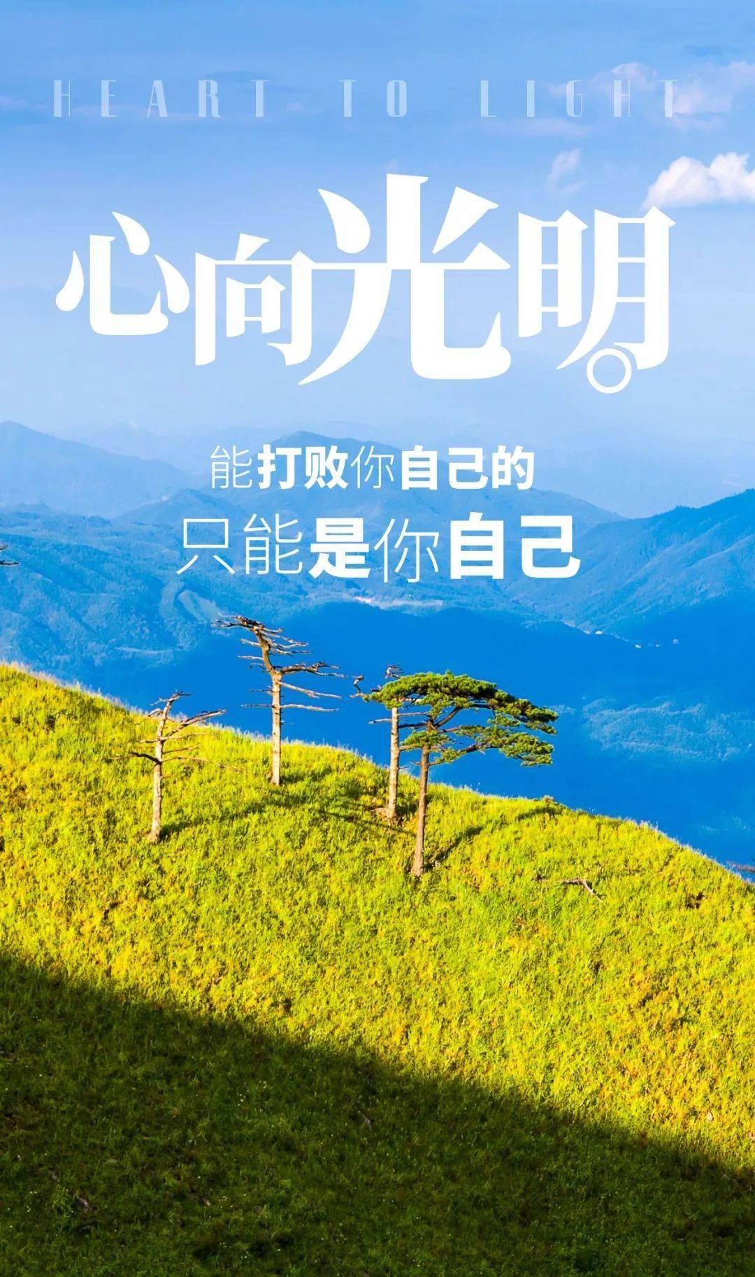 免费正能量网站链接网址免费正能量网站链接，点亮生活的阳光源泉-第2张图片