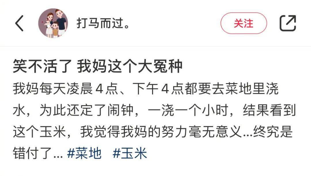 宝宝都湿透了还嘴硬宝宝湿透后的倔强坚持-第3张图片