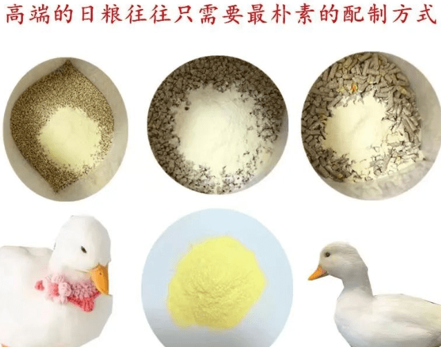 关于一晚上几次能否喂饱的问题探讨-第1张图片