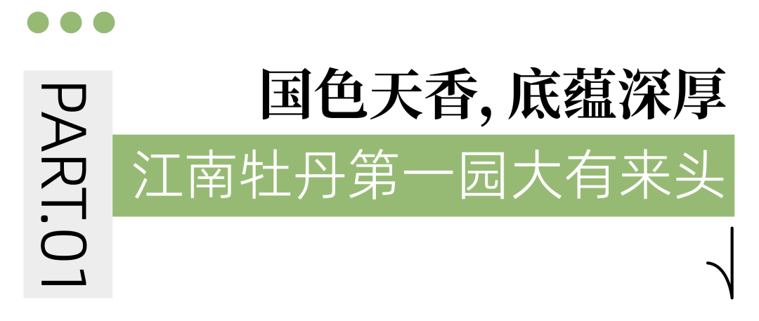国色天香A区与B区，两处景致之异同
