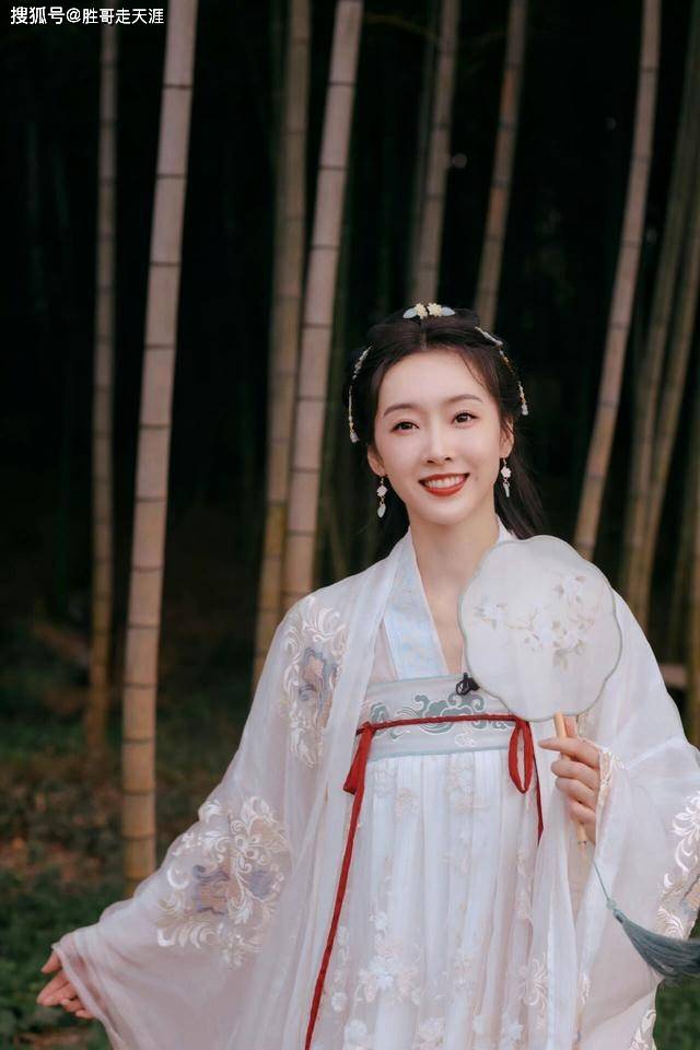 汉服齐胸襦裙啪啪汉服之美，齐胸襦裙的魅力与文化内涵-第3张图片
