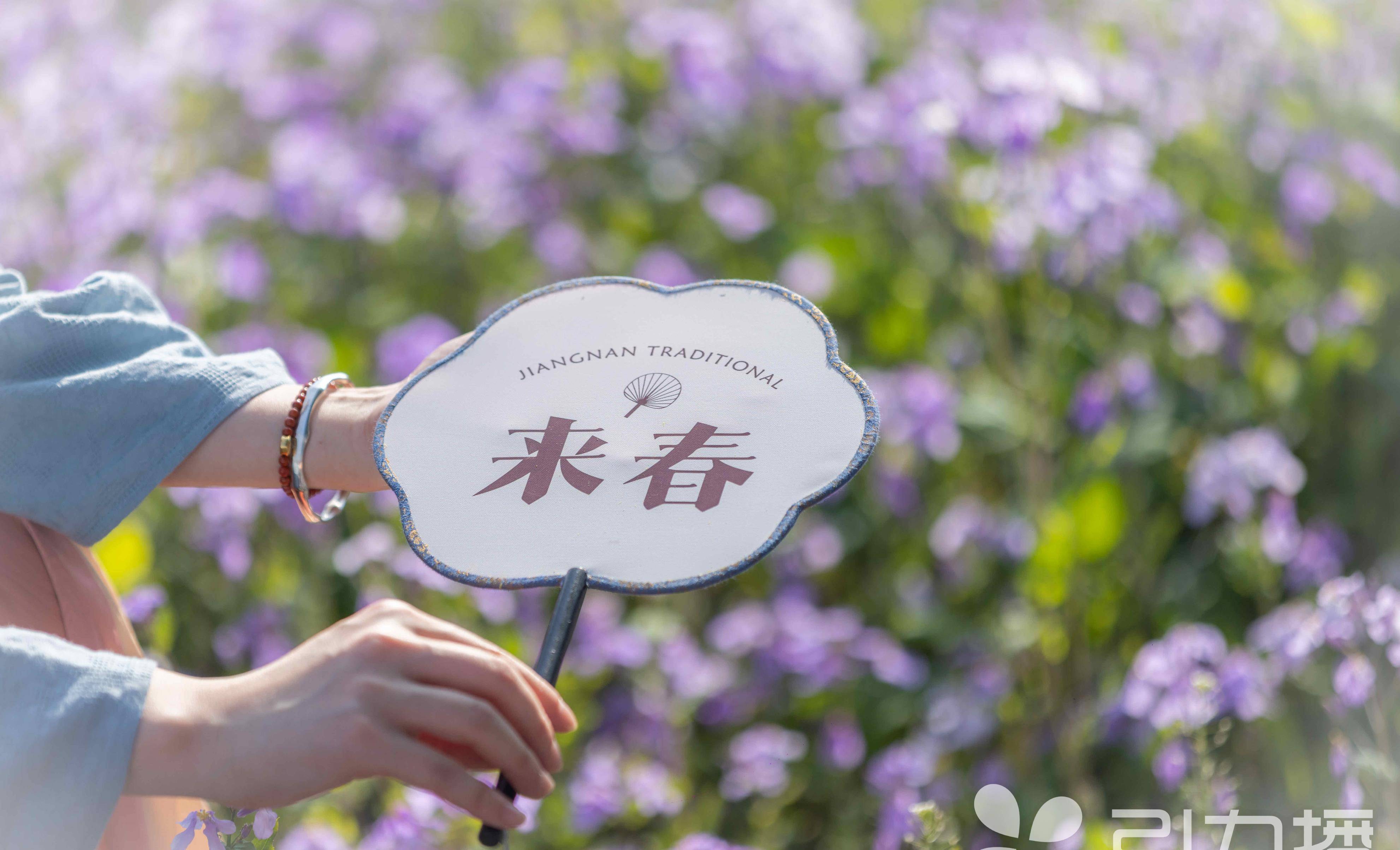 春雨直播，在线观看高清视频的全新体验
