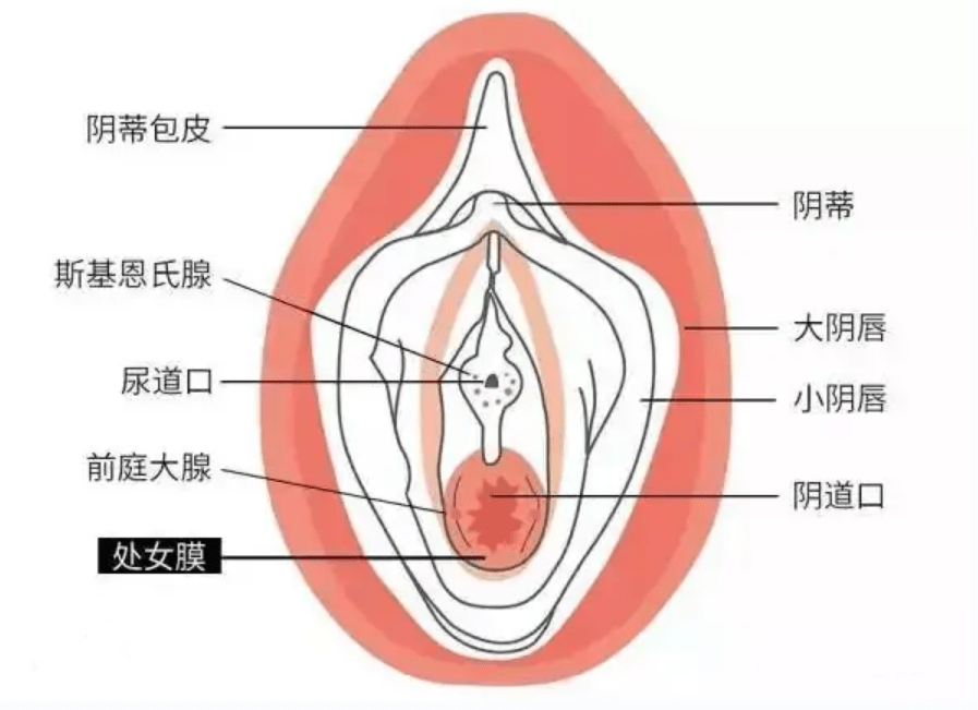 探讨健康性教育的重要性——以裸体为视角的误解解析-第3张图片