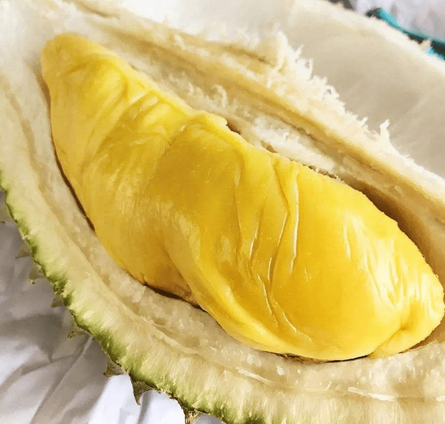 榴莲app让你流连忘返下载榴莲app，让你流连忘返的下载体验-第2张图片