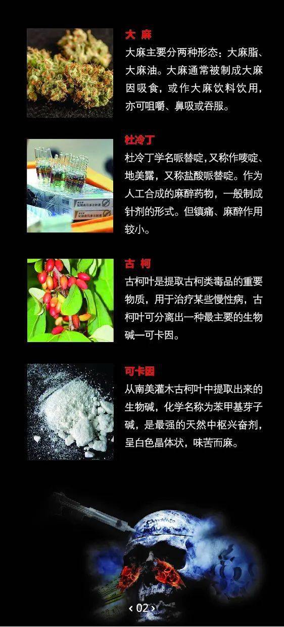 黄网推广的危害与防范