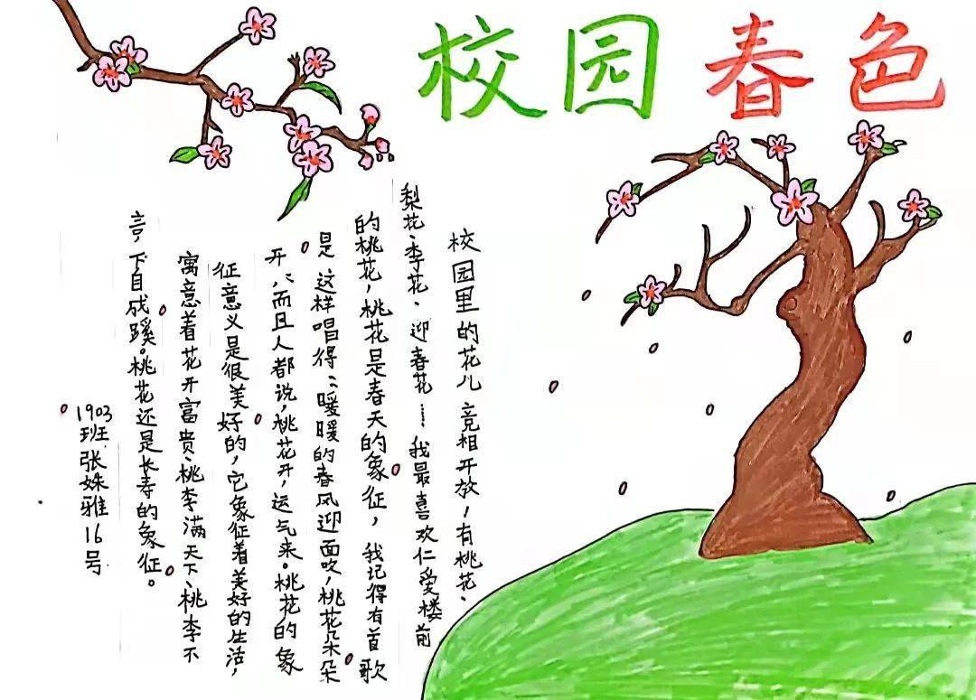 校园春色与迅雷下载的独特魅力