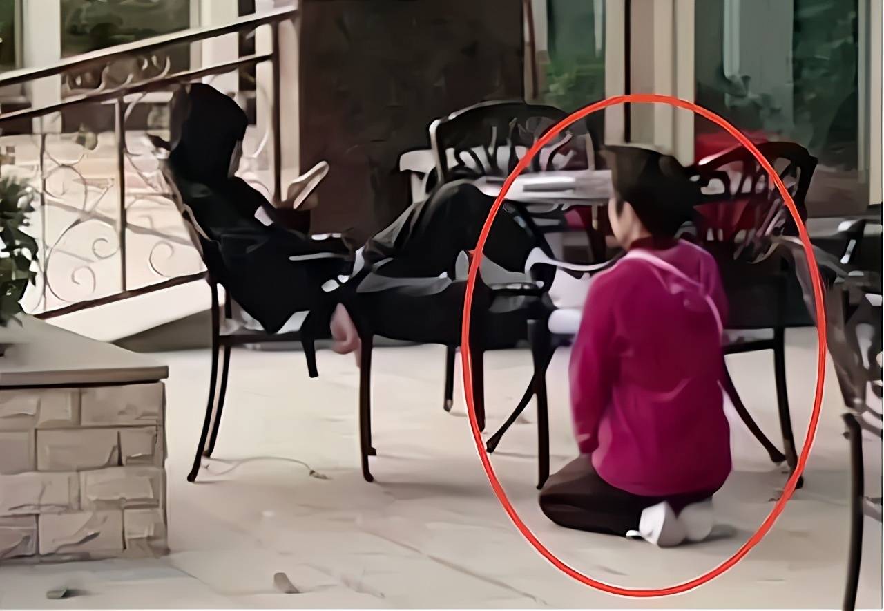 跪求黄址视频在线观看跪求黄址的探索与追寻-第1张图片