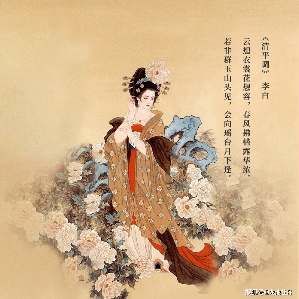 杨玉环泳装关于杨玉环的美丽与误解的探讨-第1张图片