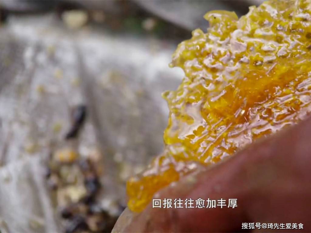 人间秘药人间蜜药——探寻生活的甜蜜之源-第2张图片