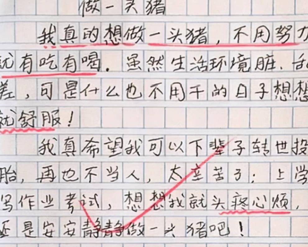 在学校沦为坐便器的作文学校中的坐便器之旅