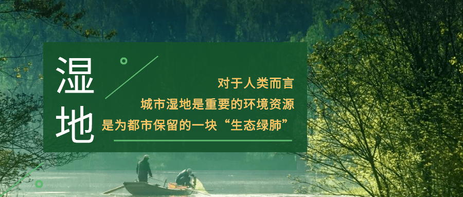 如何正确理解与访问网络资源——以禁慢天堂为例