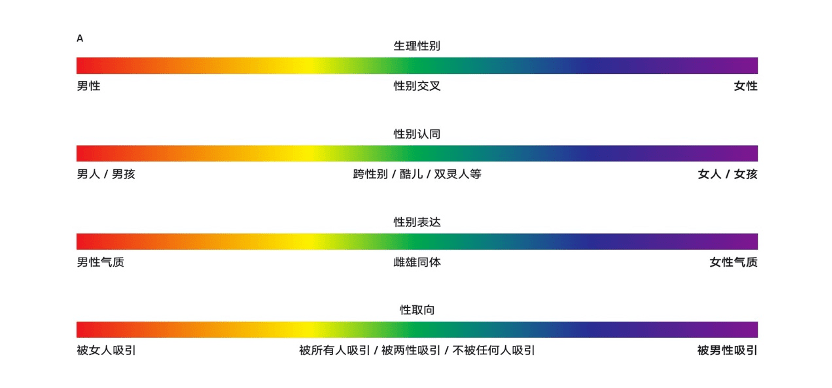 男性同性恋网站大全探索男性同性恋网站，理解与接纳的旅程-第1张图片
