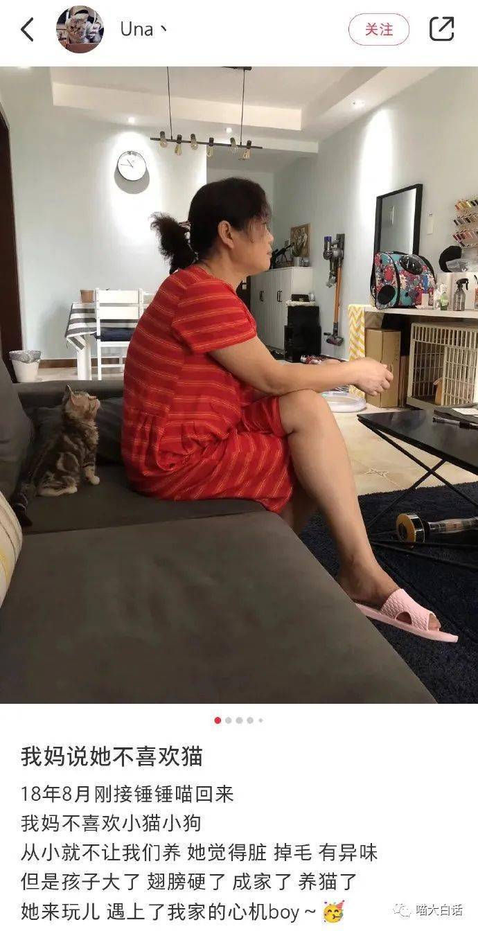 探索韩国妈妈的朋友3，免费观看视频的途径与体验-第2张图片