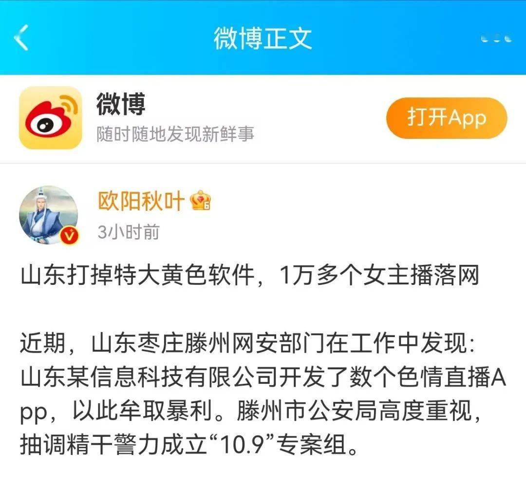 专门放黄的软件破解版专门放黄软件破解版，风险与法律问题探讨-第2张图片