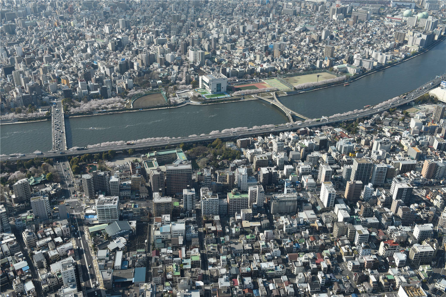 亚洲日本一线产区二线产区在哪里日本产区探秘，一线与二线产区的地理分布-第1张图片