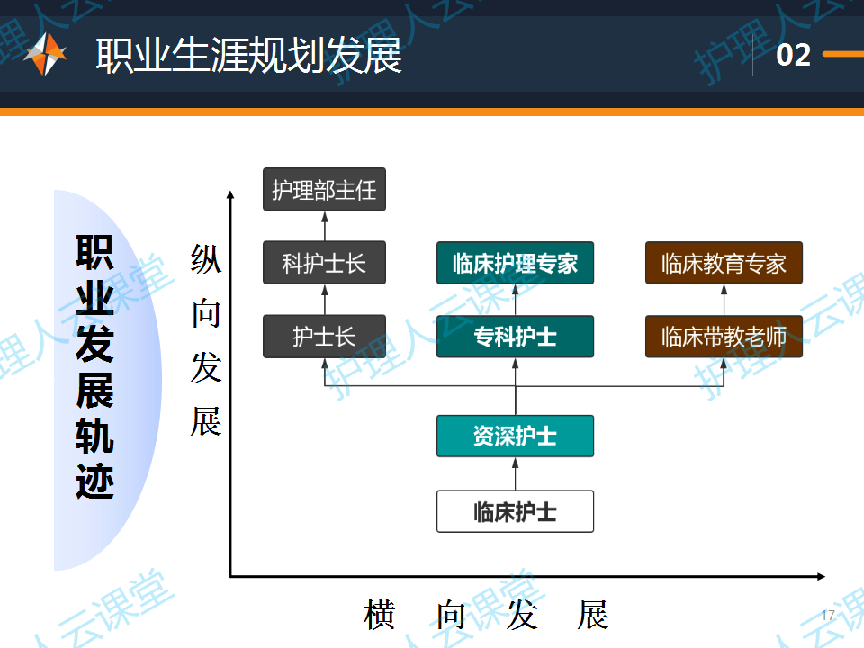 关于JLZZJLZZ现象的探讨，日本护士职业与文化差异下的护理体验