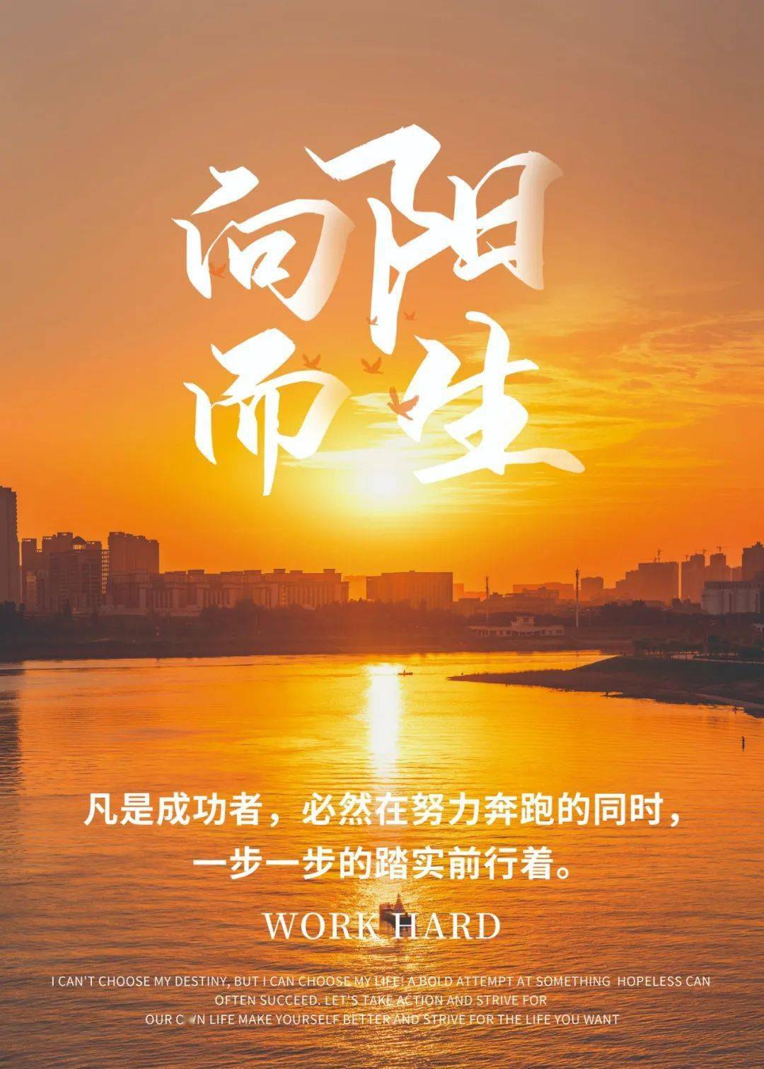 免费网站，你懂我意思的正能量之源泉-第3张图片