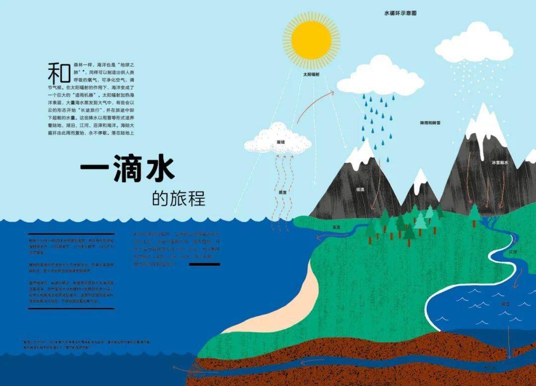 现代生活中的信息海洋，有哪些网站值得我们去探索-第1张图片