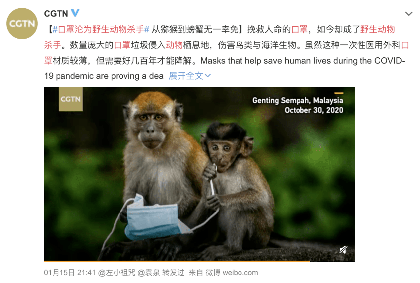 与动物性万乱理论片动物性万乱理论片，理解与探讨-第3张图片