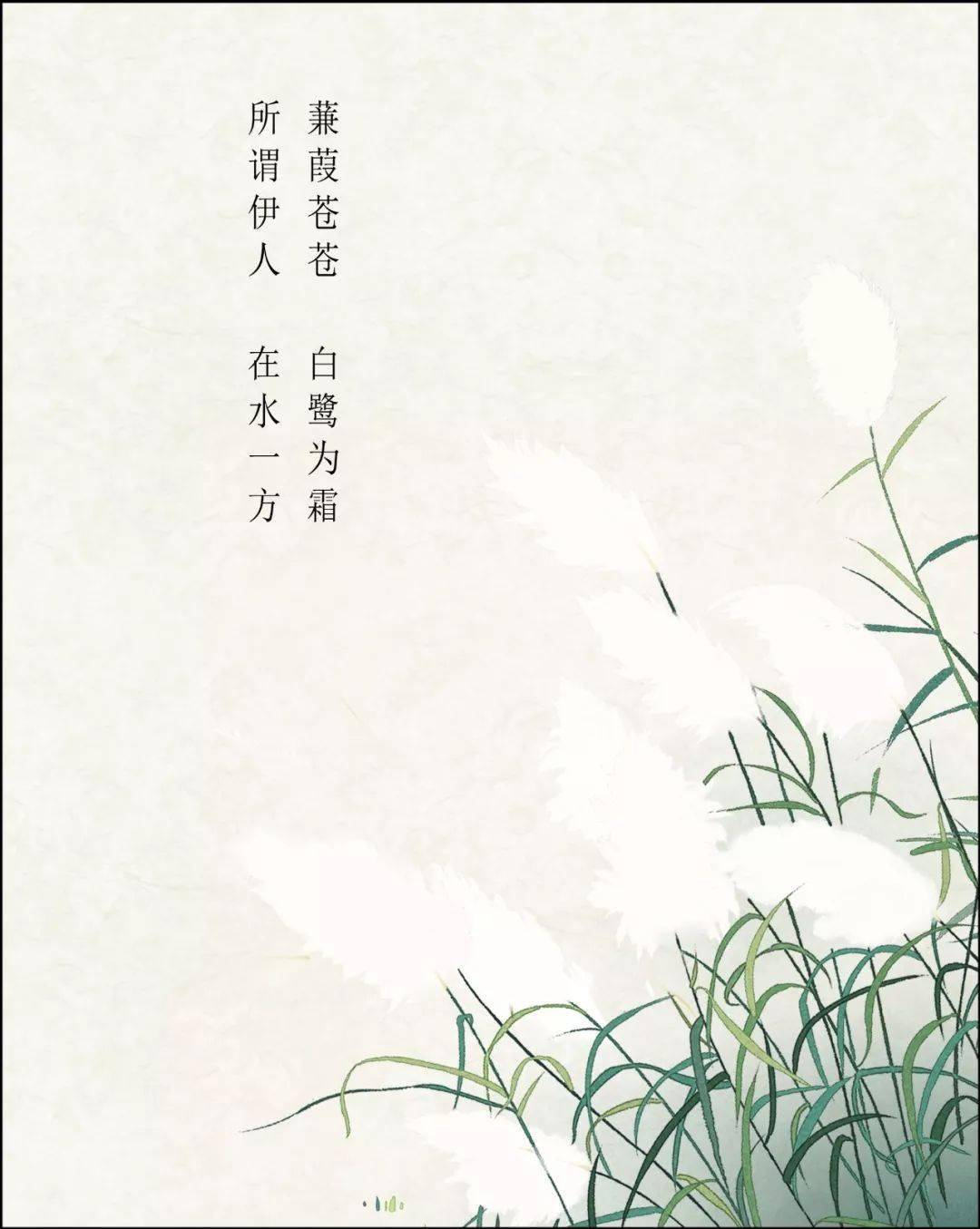 伊人在香蕉伊人蕉影下的美丽传说