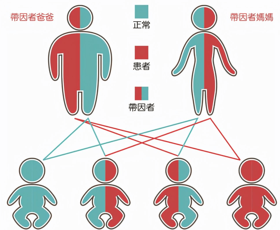 近親五十路六十被亲子中出近亲关系中的伦理与道德困境——五十路六十被亲子中出的故事-第1张图片