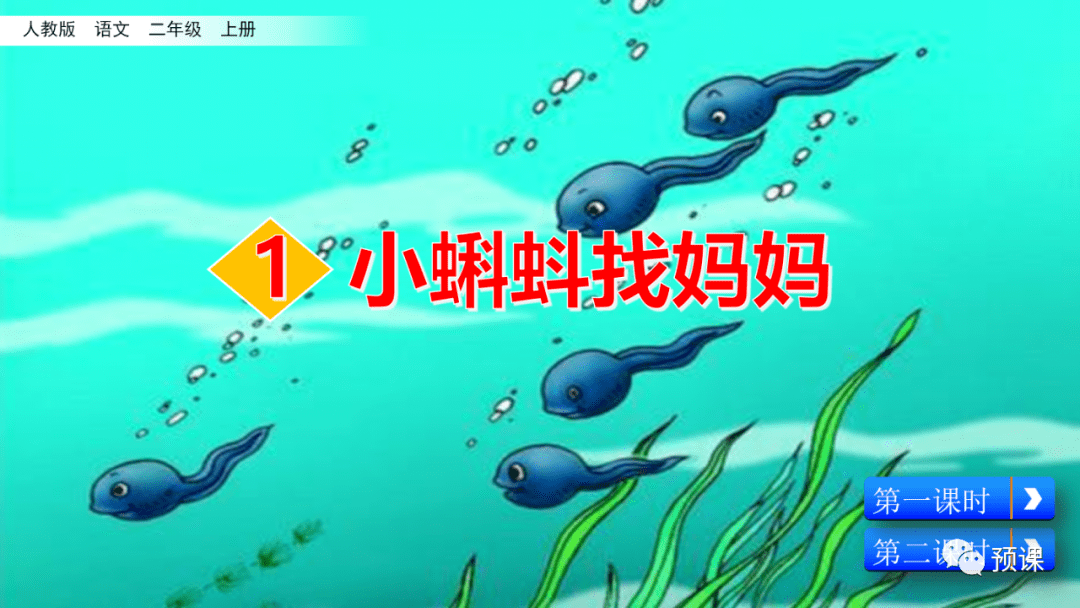 小蝌蚪视频ios最新章节小蝌蚪视频app无限观看体验，丝瓜ios与苏州晶体的魅力-第1张图片