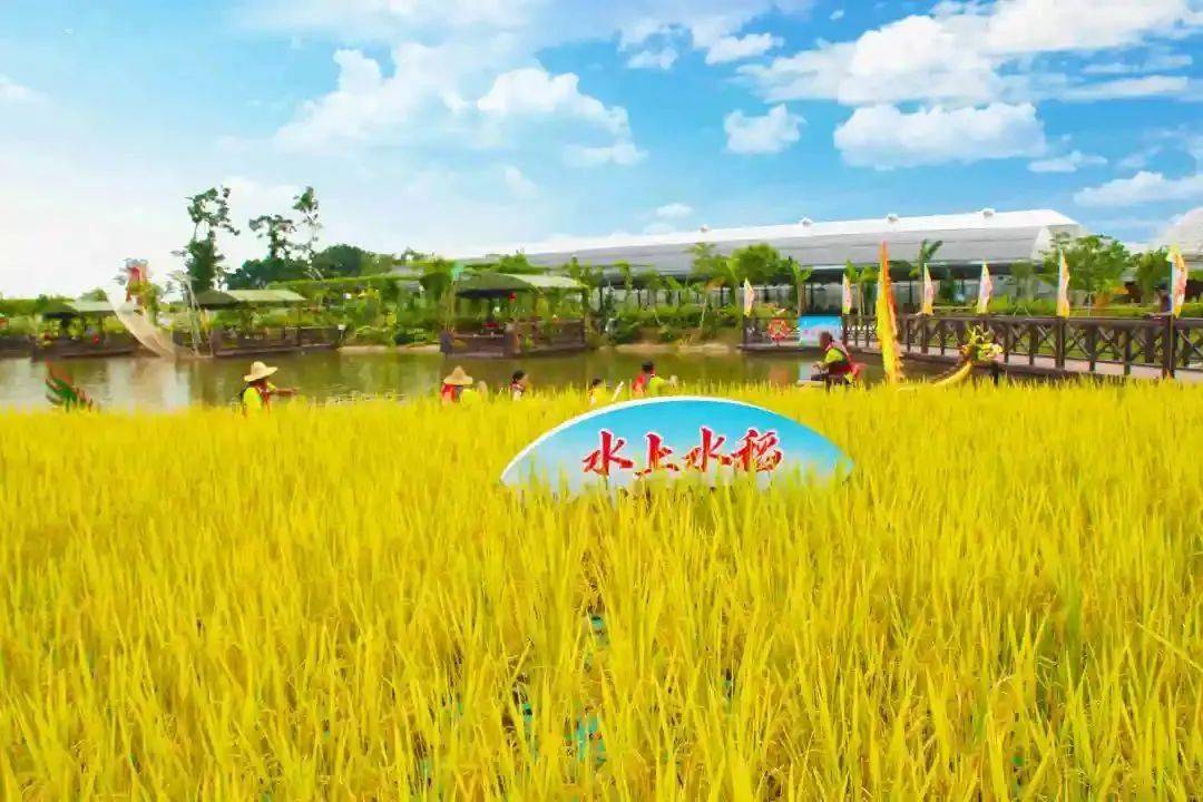 QQ农场 活动QQ农场活动，乐趣与收获的双重体验