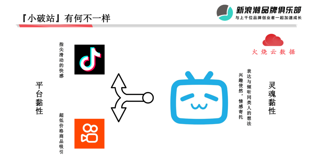 PROUMB网页版进入PROUMB网页版进入，使用指南与体验分享-第1张图片