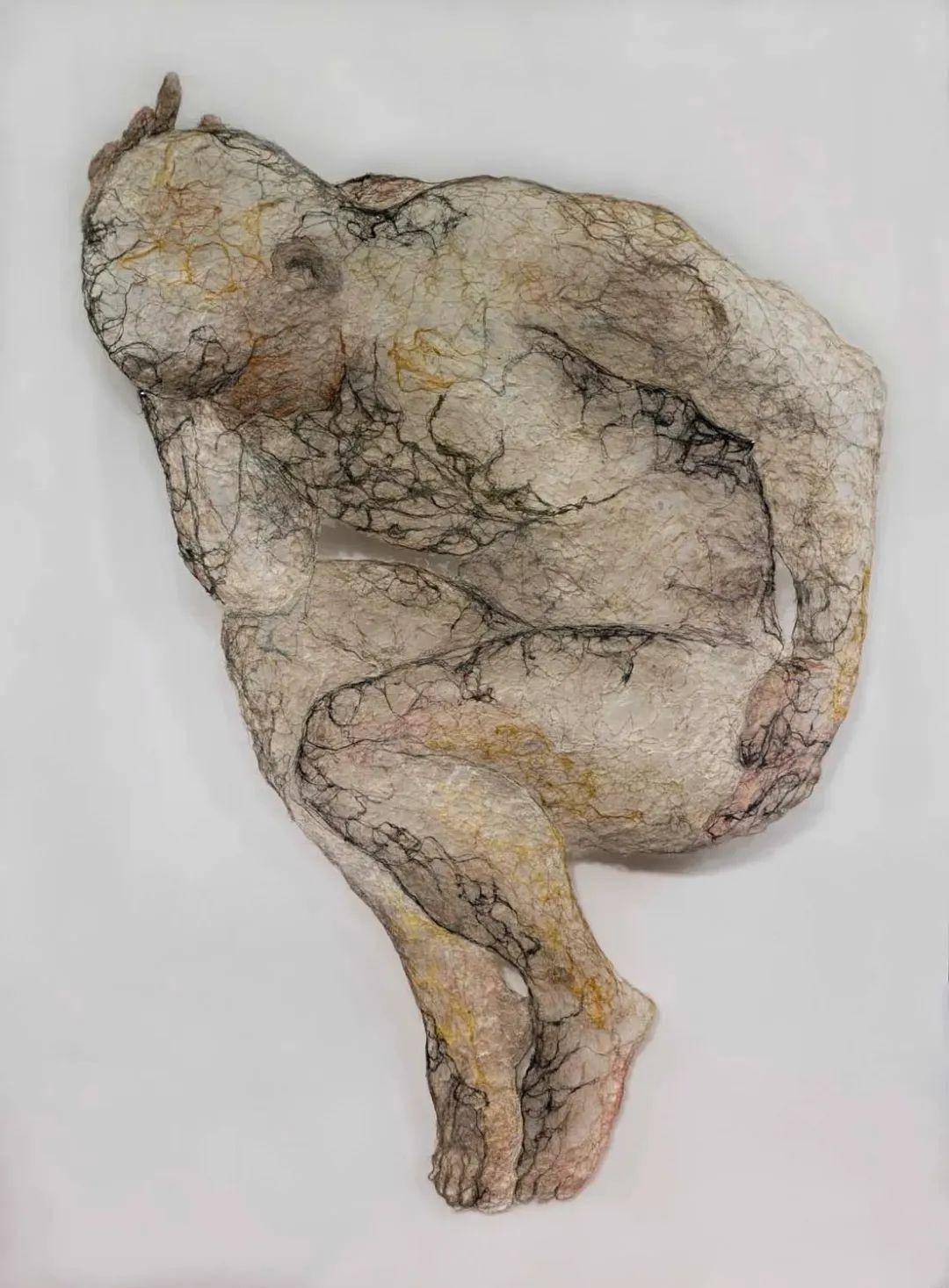 人体艺术与真实展现，鲍鱼之美的探索