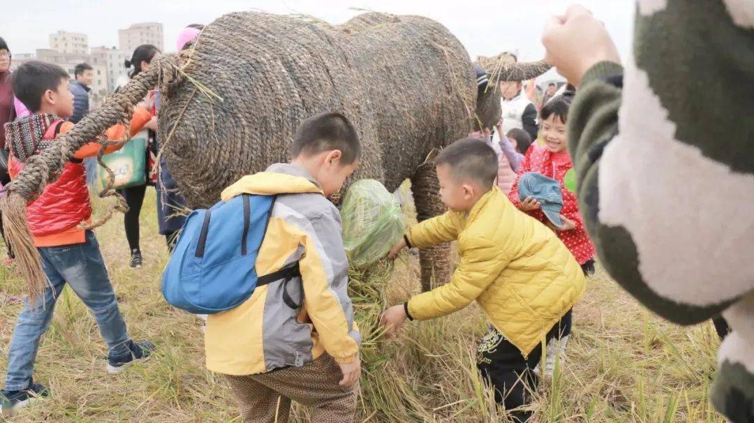QQ农场活动，一场欢乐的在线农业盛宴