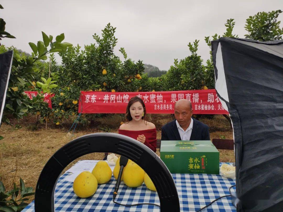 蜜柚直播APP最新版下载指南-第2张图片